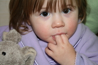 Verity_28_december_2007 Verity_28_december_2007