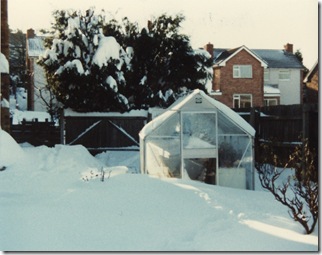 Winnipeg Drive garden snow 1982