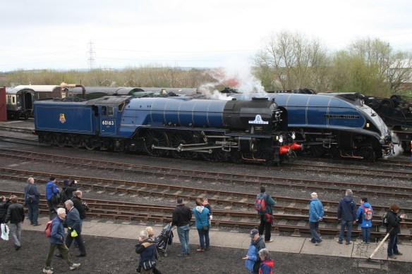 Tornado and Sir Nigel Gresley at Didcot