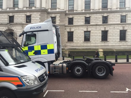 Police in force in Horse Guards