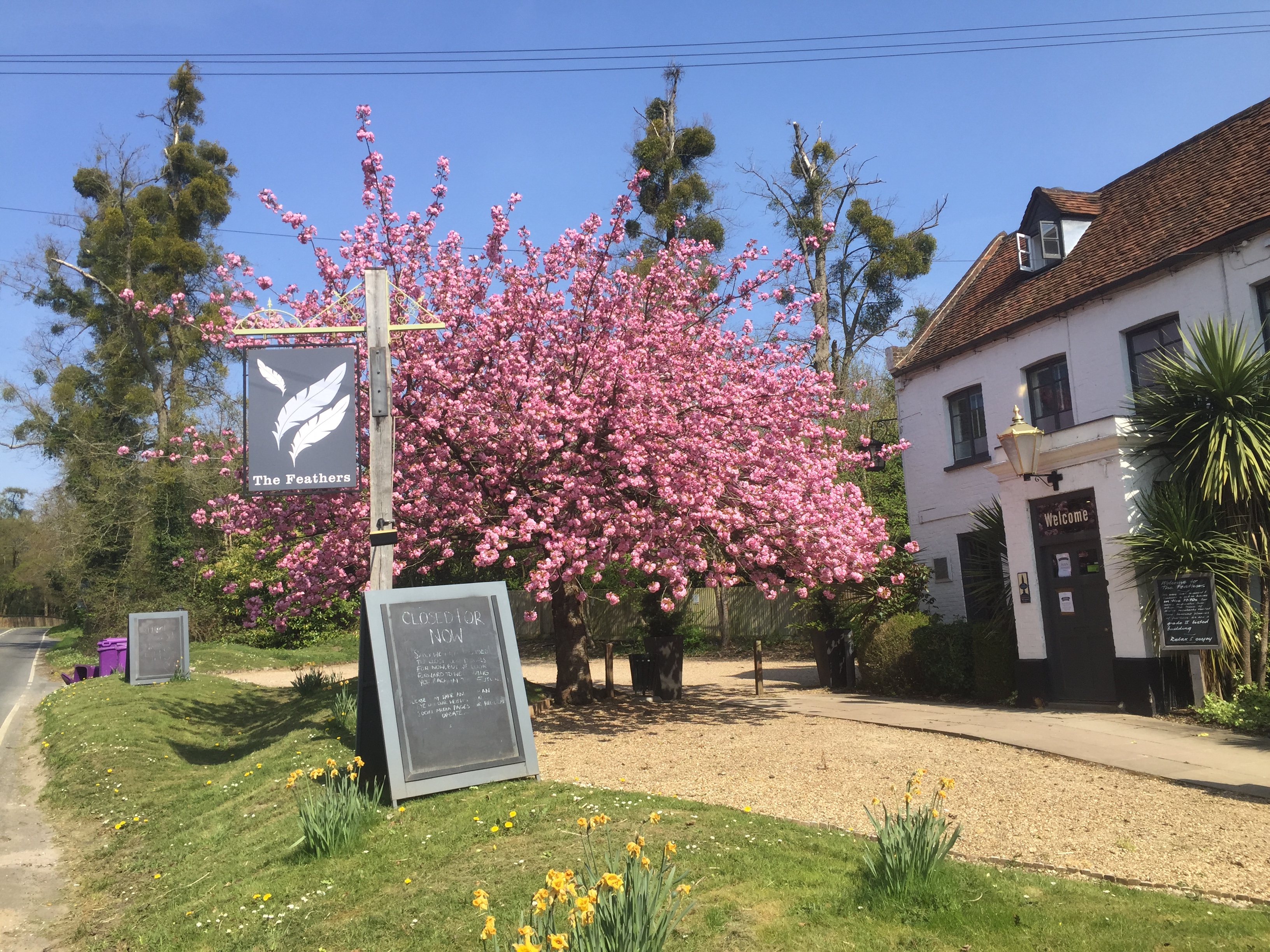 AC748307-97E5-447B-8994-DED7FB34BCE4