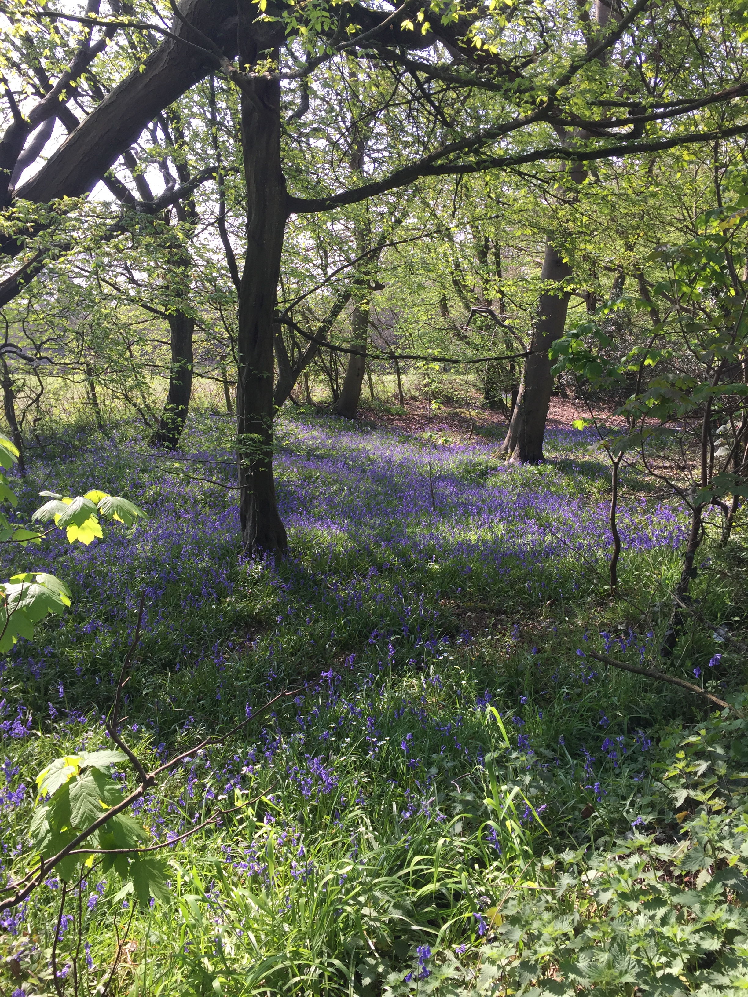 B978FCCA-DF09-4A8F-A26C-5E8149F39B02