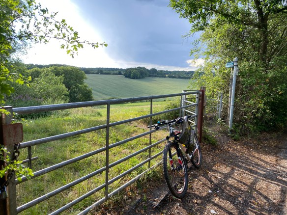 D28C2D1B-7B9A-488B-96F4-43324D463363